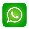 vector-de-la-muestra-del-elemento-logotipo-icono-whatsapp-en-app-móvil-verde-el-fondo-blanco-r-139246467